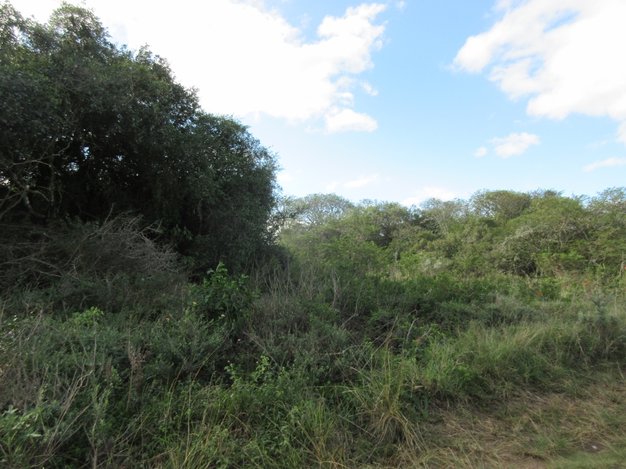 0 Bedroom Property for Sale in Bathurst Eastern Cape